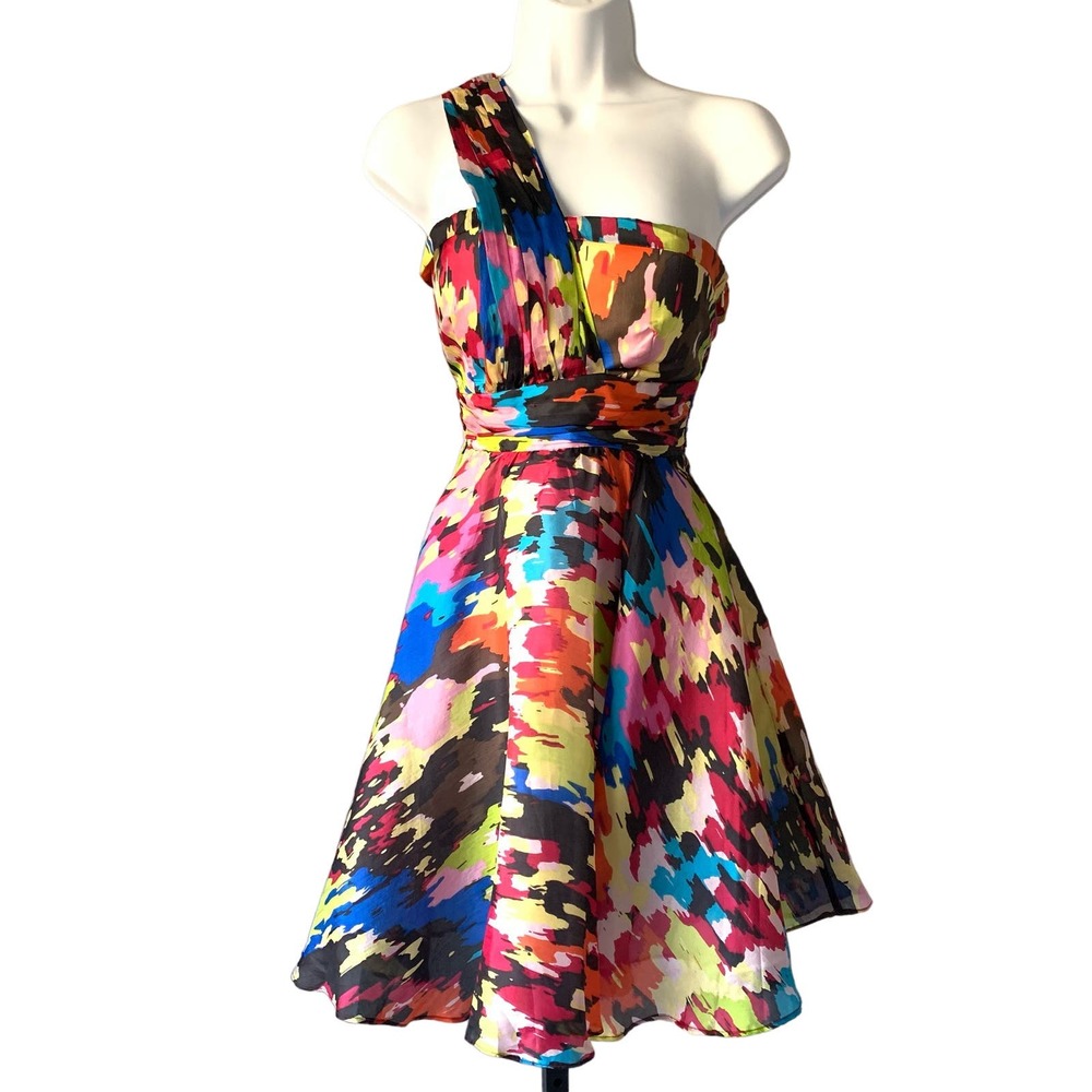 Multicolor Fit and Flare Dress